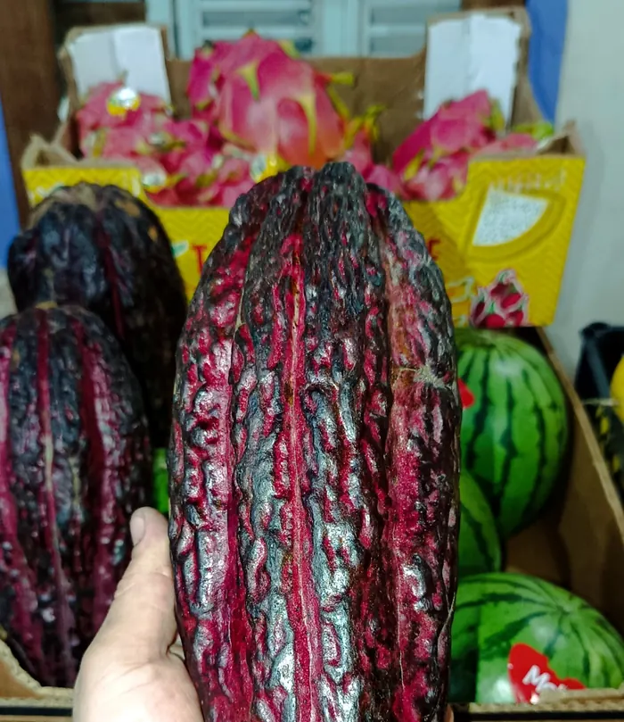 Cacao en mazorca en la verdulería Frutos del Bosque, Los Reartes