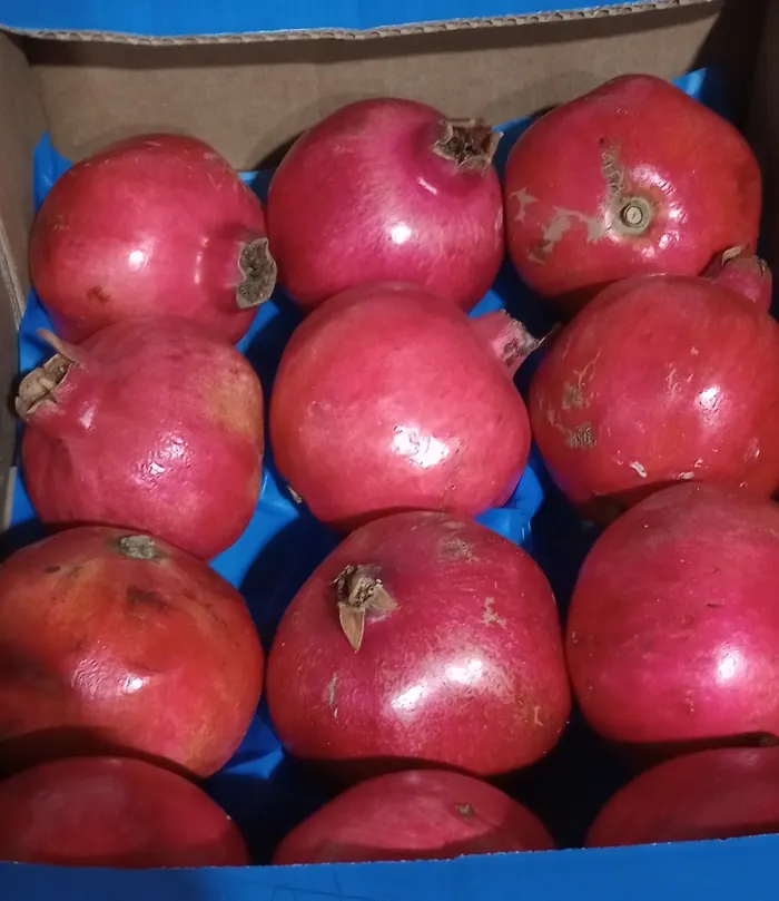 Granadas en la verdulería Frutos del Bosque, Los Reartes