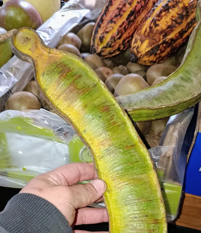 Pacay en la verdulería Frutos del Bosque, Los Reartes