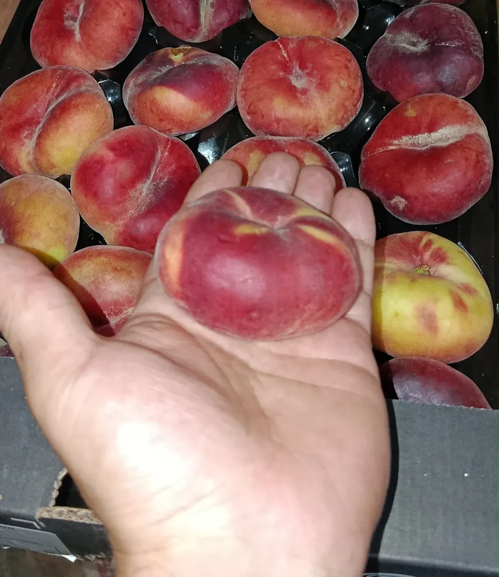 Cajón de paraguayos frescos en Frutos del Bosque, Los Reartes